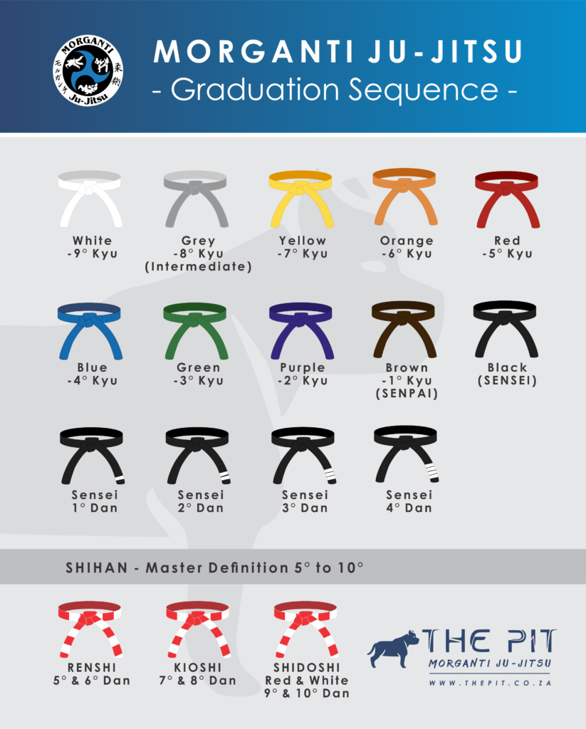 Belt Sequence and Hierarchy in Morganti Ju-Jitsu Chart